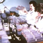 بفرمایید کمی باکتری و ویروس میل کنید!