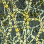 بررسی ساختار و رفتار جالب مواد گرانولی