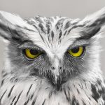 10 واقعیت بسیار جذاب درباره جغد که باید بدانید!