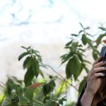 دروغ آوریل: حس بویایی به کمک جستوجو می‌آید!