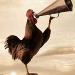 چگونه سحرخیز شویم؟