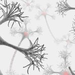 با 10 واقعیت مغز خود آشنا شوید!