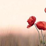 کدام ابیات سعدی بر سردر کدام وزارت‌خانه؟