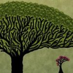 راهنمای جذب فالور بیشتر در میکروبلاگ