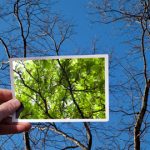 6 سوالی که افراد موفق از خود می‌پرسند