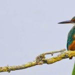 این‌بار ما به طبیعت عیدی دهیم