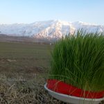 سیزده بدر را به یک گردش علمی تبدیل کنید