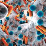 گفت‌وگو با مینا خدامی؛ دانشجوی برتر میکروبیولوژی